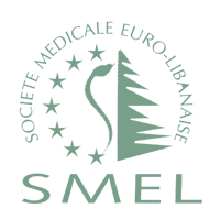 logo SMEL